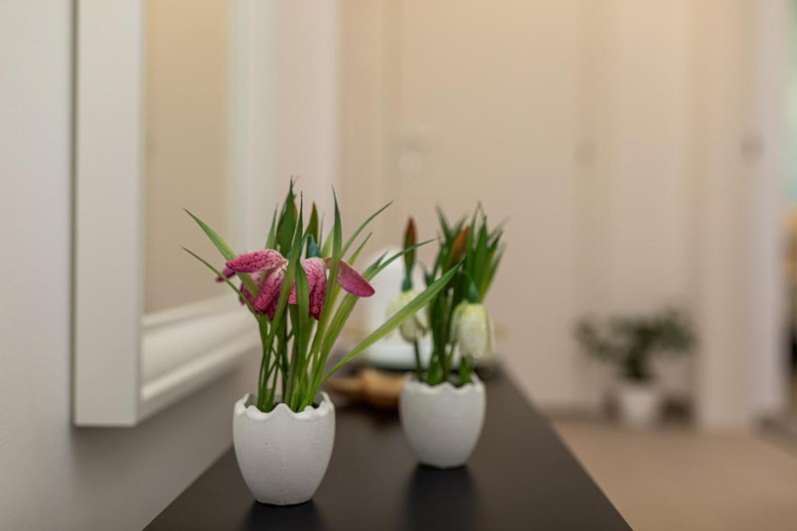 Apartman Grzetic Šilo Εξωτερικό φωτογραφία